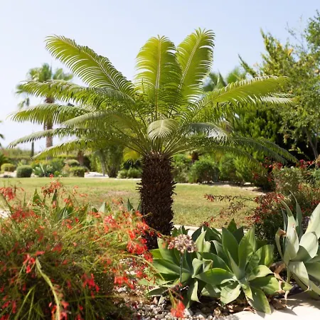 Albina - Elegant 3br Retreat With Private Pool Near Coral Bay *