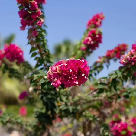 Holiday home Albina - Elegant 3br Retreat With Private Pool Near Coral Bay