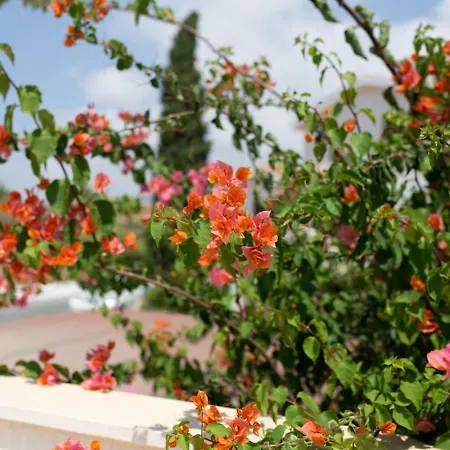 Albina - Elegant 3br Retreat With Private Pool Near Coral Bay Holiday home Peyia