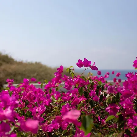 Albina - Elegant 3br Retreat With Private Pool Near Coral Bay Peyia