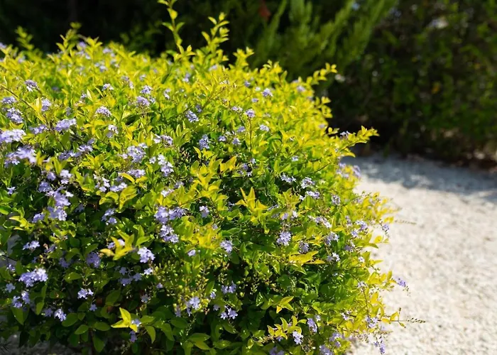 Albina - Elegant 3br Retreat With Private Pool Near Coral Bay 別荘 ペイヤ