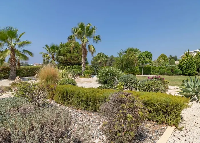 Albina - Elegant 3br Retreat With Private Pool Near Coral Bay ペイヤ