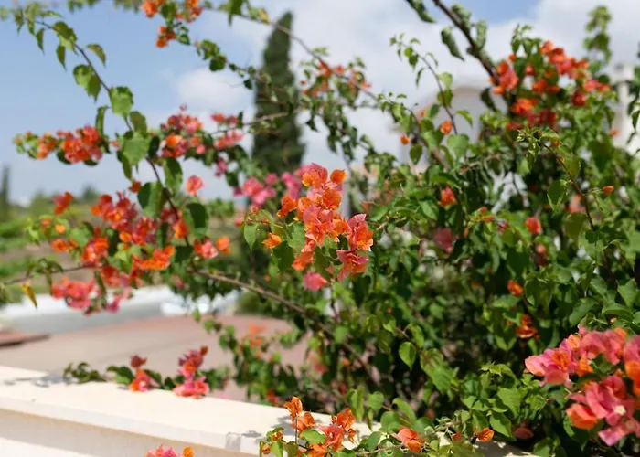 Albina - Elegant 3br Retreat With Private Pool Near Coral Bay 別荘 ペイヤ