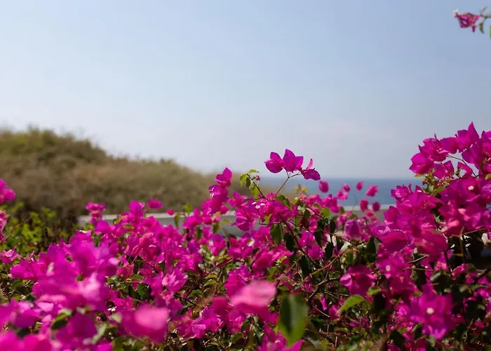 Albina - Elegant 3br Retreat With Private Pool Near Coral Bay ペイヤ