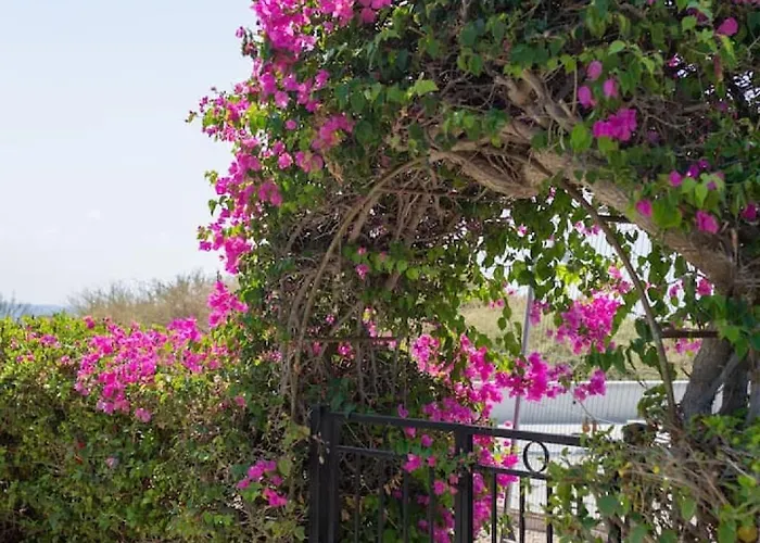 別荘 Albina - Elegant 3br Retreat With Private Pool Near Coral Bay *