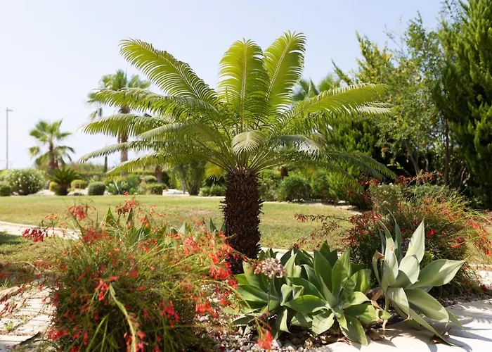 Albina - Elegant 3br Retreat With Private Pool Near Coral Bay *